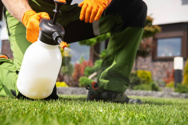 Best Pest Removal Services  in Waggaman, LA