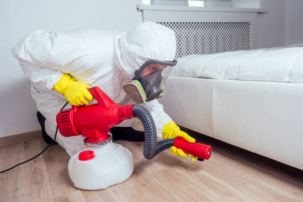 Trusted Waggaman, LA Pest Control Experts
