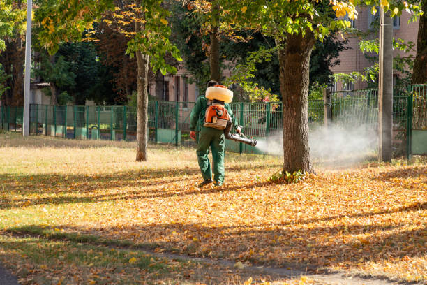 Best Best Pest Control Companies  in Waggaman, LA